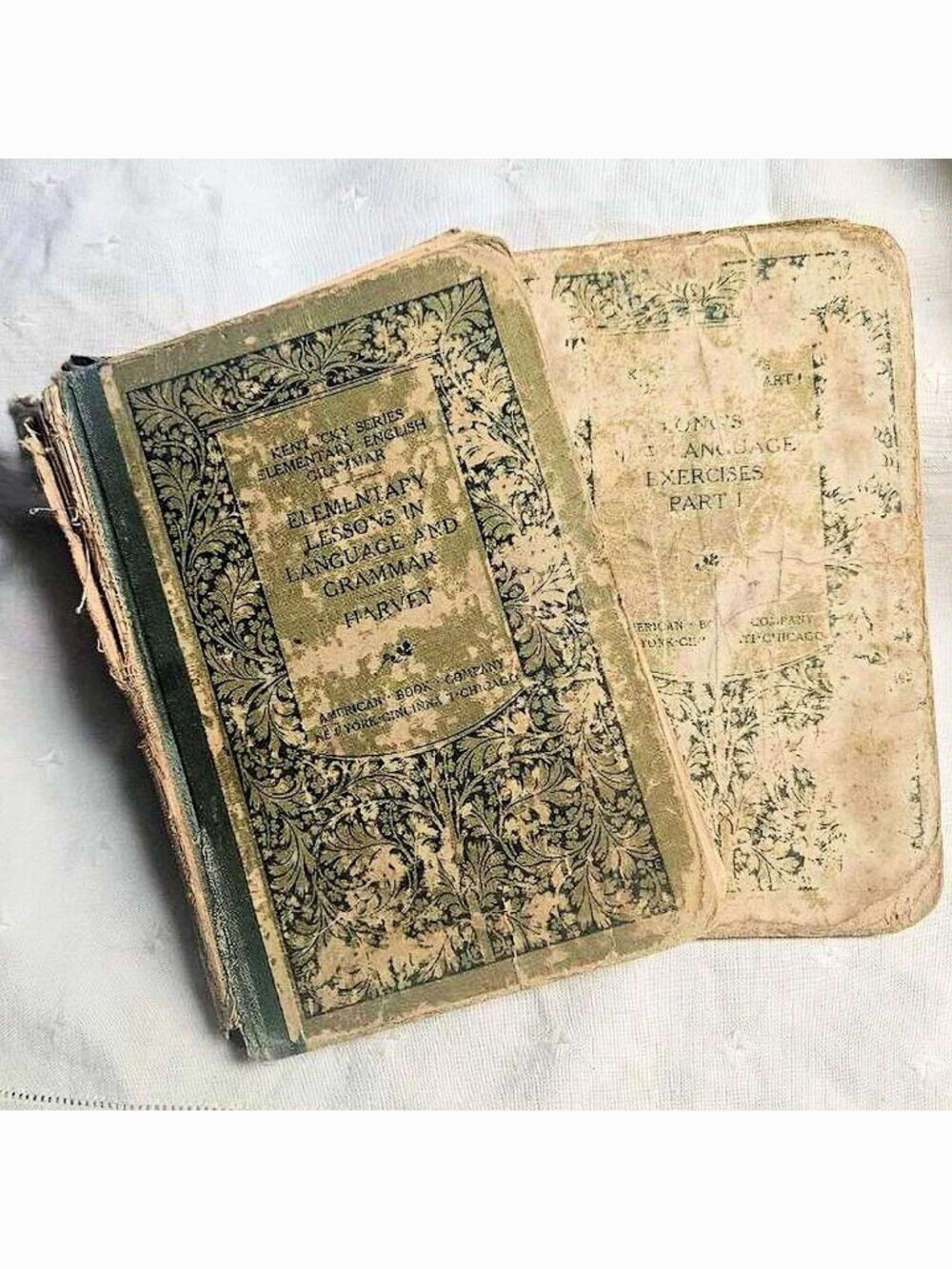 2 Antique Children's Grammar & Language Readers Books School Primers 1889 1900